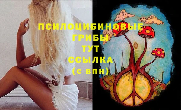 СК Волоколамск